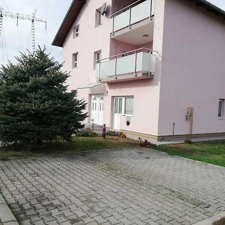 Apartament Slavuj Nowy Sad Zewnętrze zdjęcie