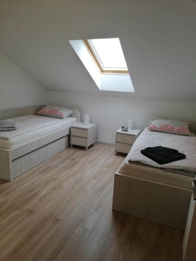 Apartament Slavuj Nowy Sad Zewnętrze zdjęcie